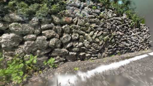 加計呂麻島　サンゴの石垣